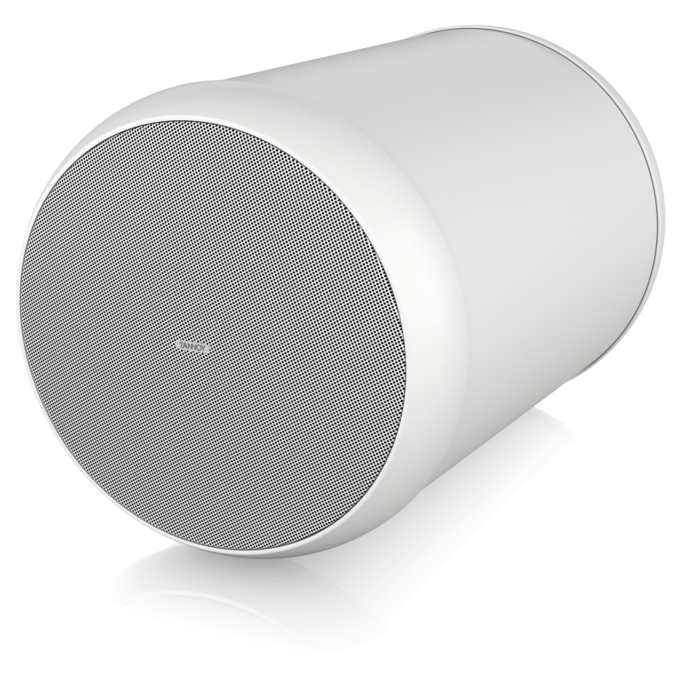 OCV 6 подвесной громкоговоритель Tannoy