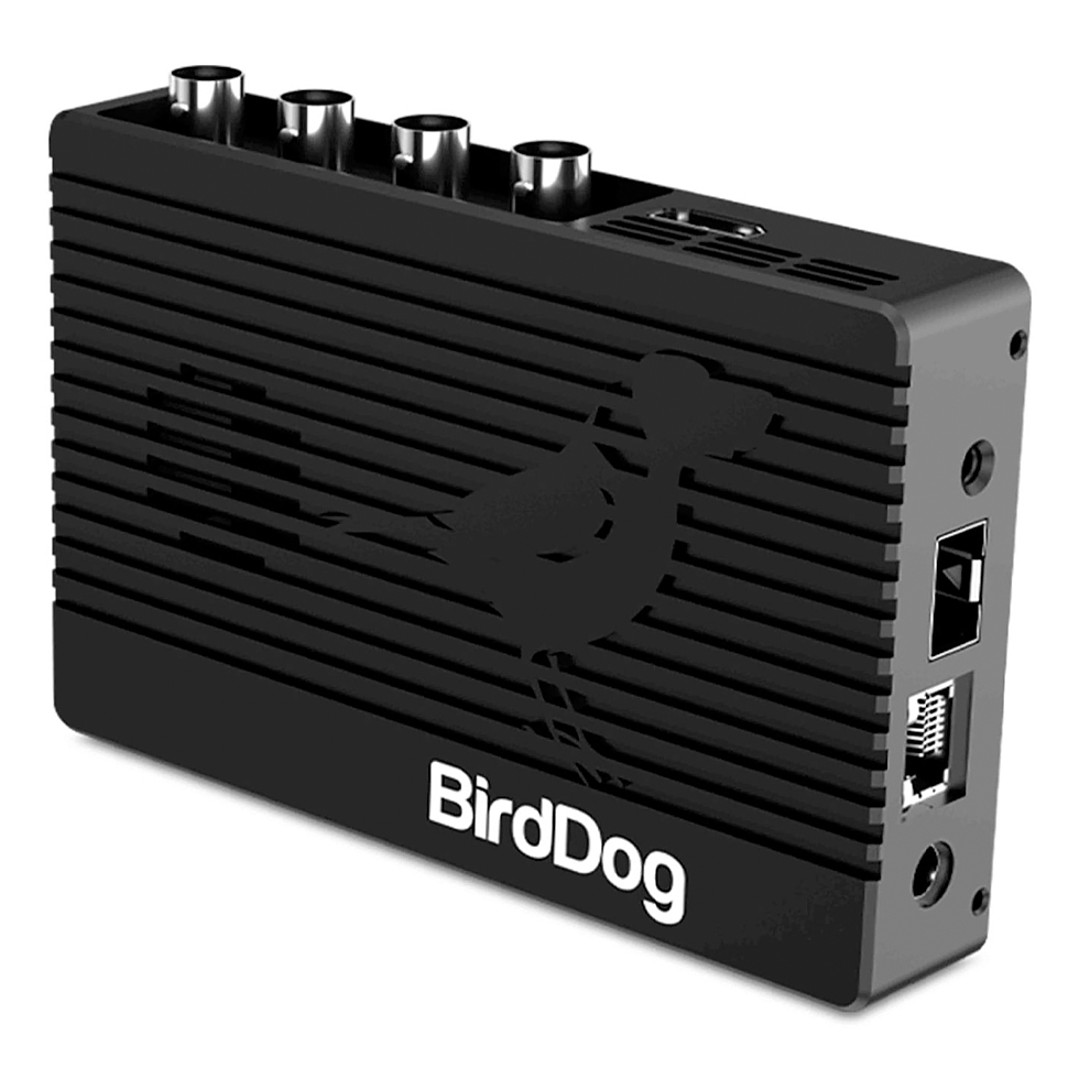 4K QUAD конвертер для приема и преобразования ТВ сигнала BirdDog