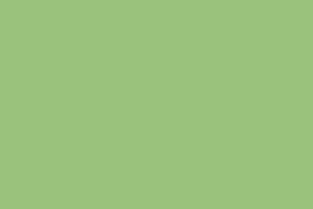 Background paper (2.72*10M) 63 Apple фон бумажный, зеленый E-Image
