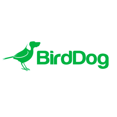 IDante NDI Bridge программное обеспечение BirdDog