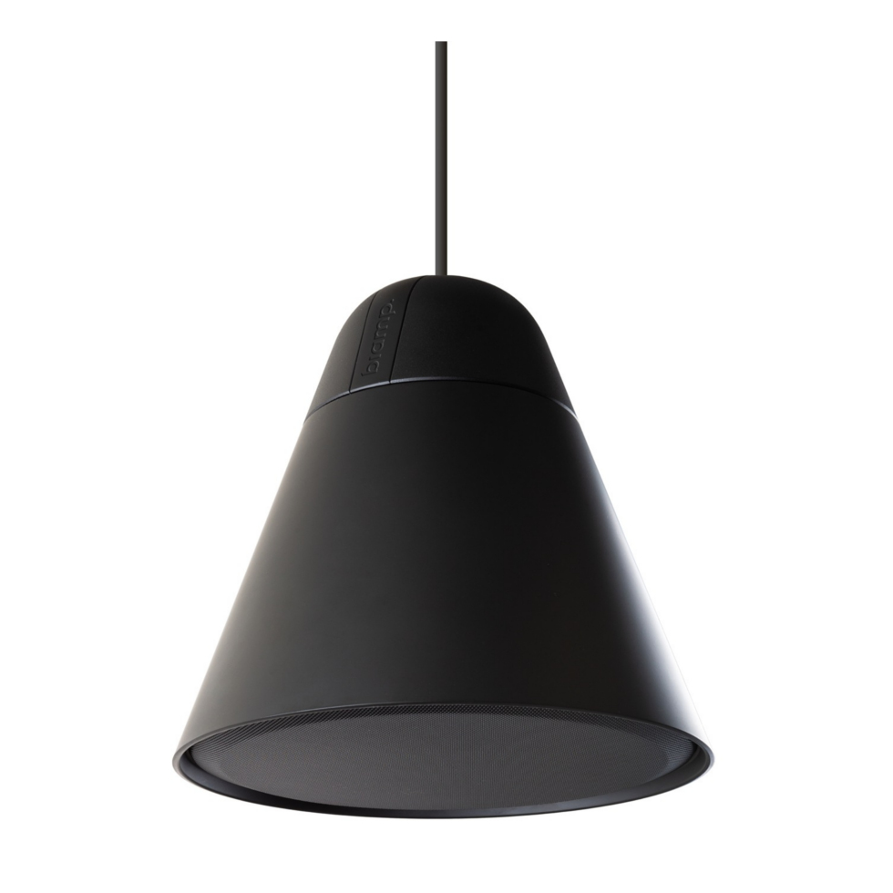 P30DT-BL акустическая система Biamp
