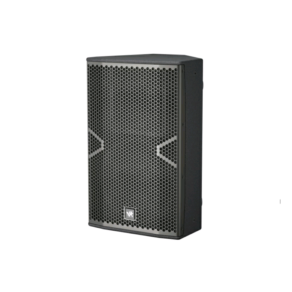 PT10 VK двухполосная акустическая система RFIntell