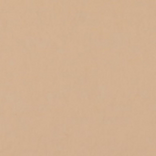 1038 PONGEE бумажный фон, песочный 2,72х11 FST