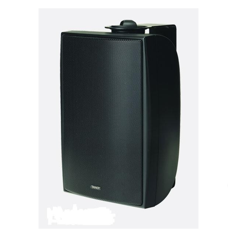 DVS 4T всепогодная АС Tannoy