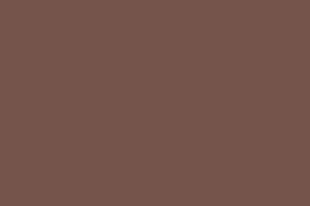 Background paper (2.72*10M) 20 Coco brown фон бумажный, коричневый E-Image