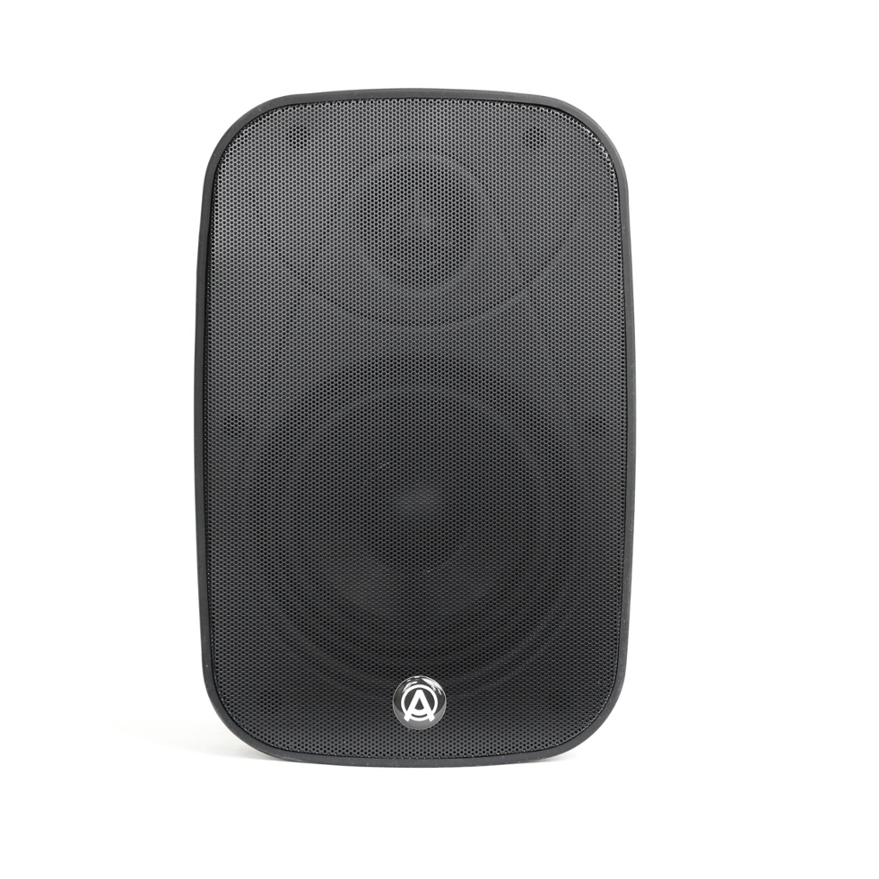 DENSE-8T акустическая система настенная AuraSonics