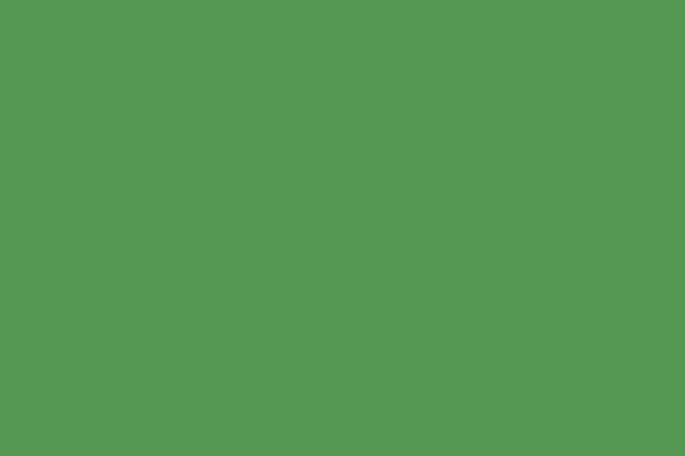 Background paper (2.72*10M) 54 Stinger фон бумажный, зеленый E-Image