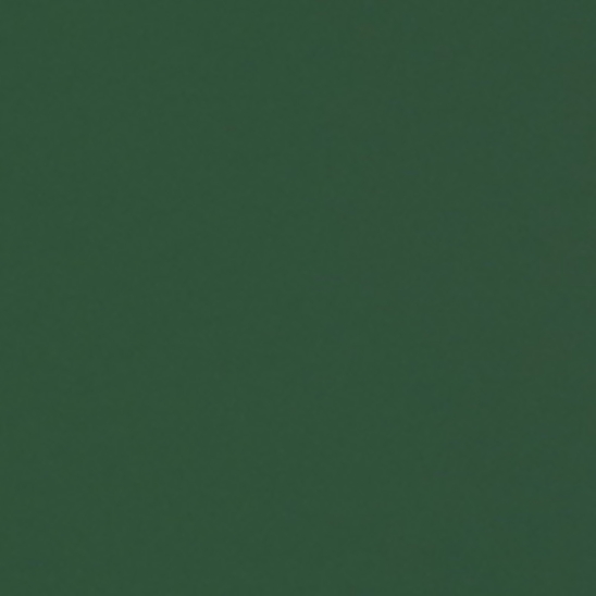 1006 DARK GREEN бумажный фон, зелёный 2,72х11 FST