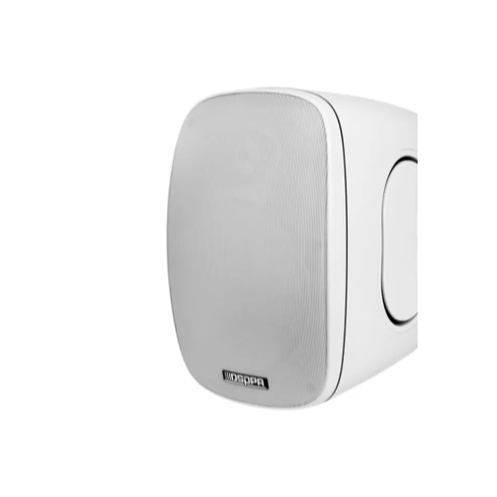 DSP6050W всепогодный настенный громкоговоритель DSPPA