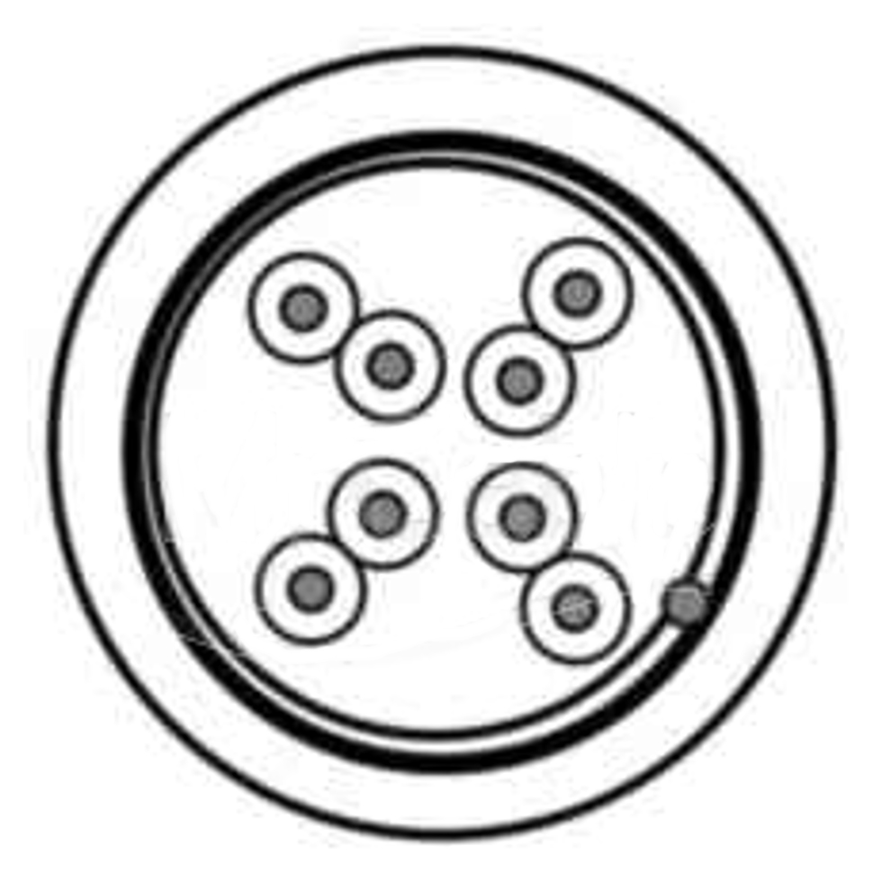 1633ENS.00305 кабель витая пара Belden