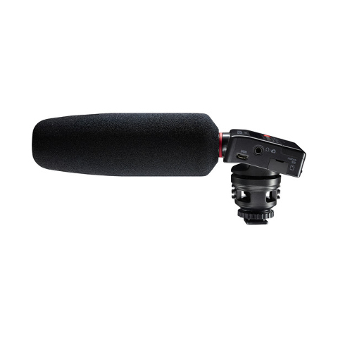 DR-10SG накамерный рекордер Tascam