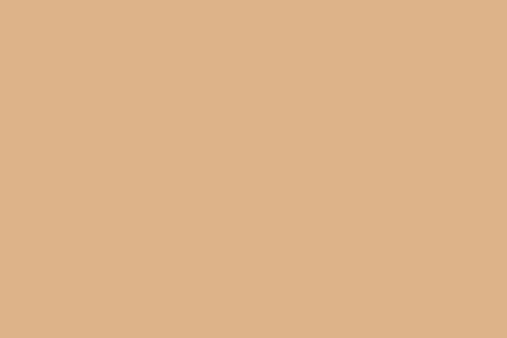 Background paper (2.72*10M) 66 Wheat фон бумажный, бежевый E-Image