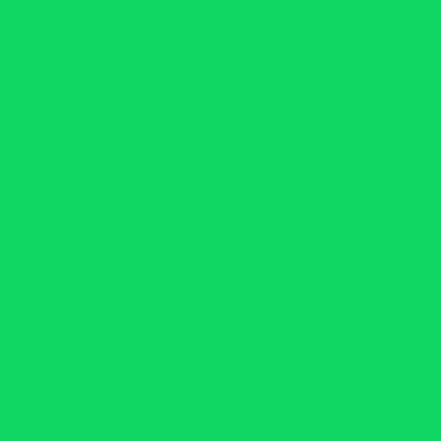 1010 CHROMAGREEN бумажный фон, зеленый 2,72х11 FST