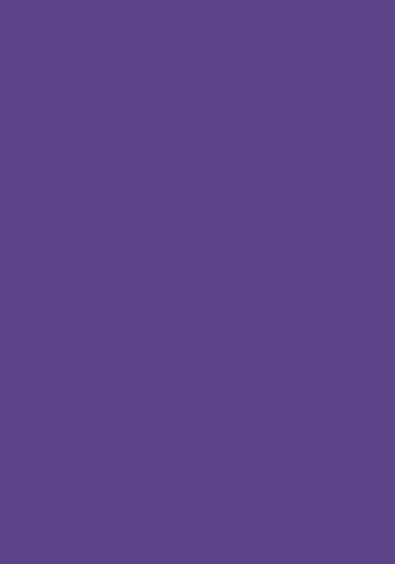 1002 PURPLE бумажный фон,фиолетовый 2,72х11 FST