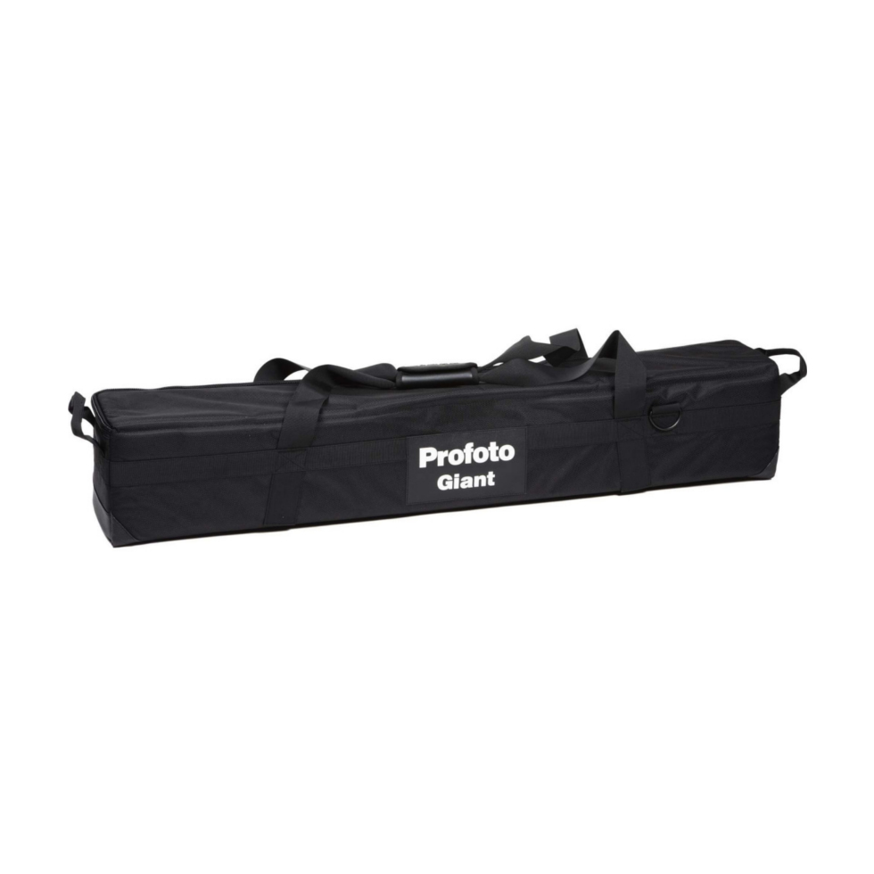 254584 Bag сумка для Giant 300 Profoto