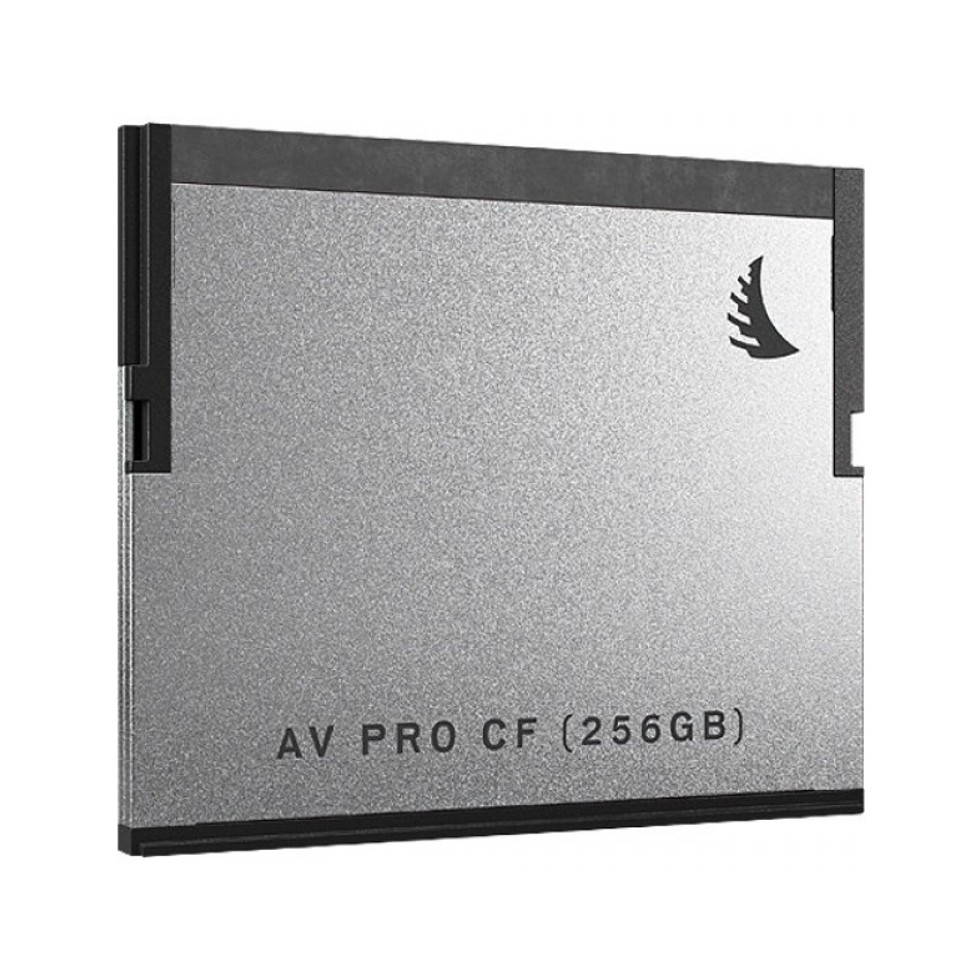 AV PRO CF 256 GB карта памяти CF Angelbird