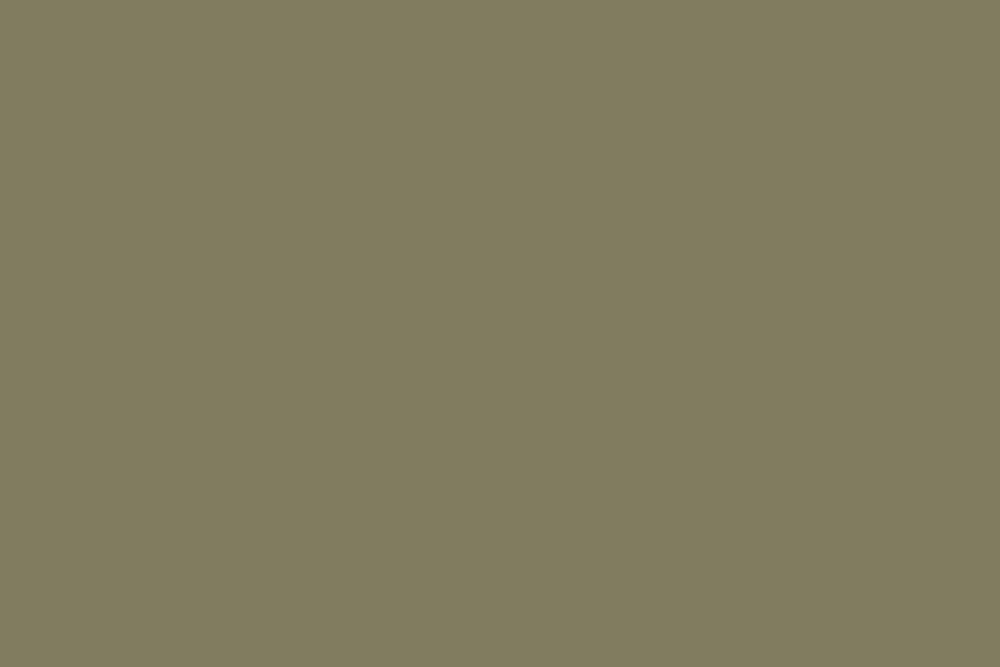 Background paper (2.72*10M) 10 Leaf фон бумажный, болотный E-Image