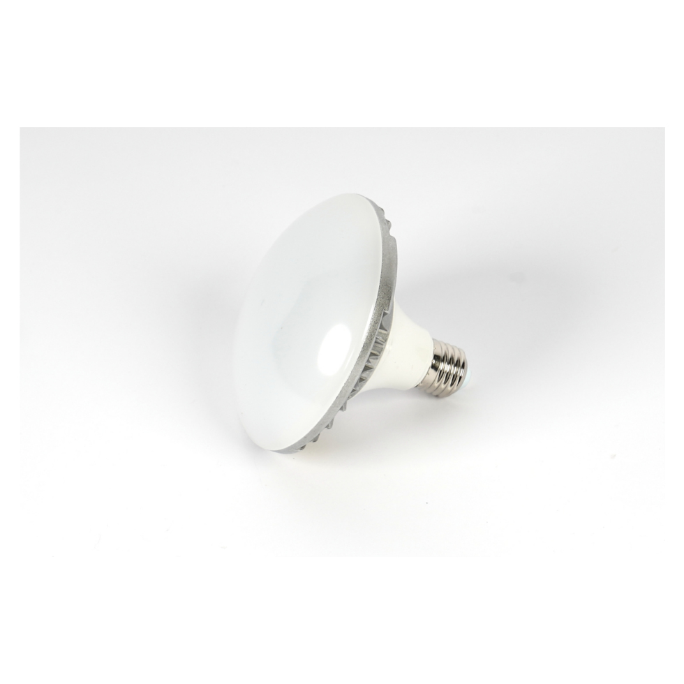 L-E27-LED50 лампа FST