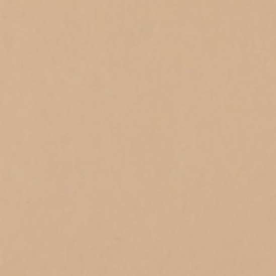 1038 PONGEE бумажный фон, песочный 2,72х11 FST