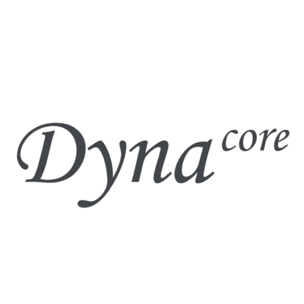 DV-HMC зарядное устройство Dynacore