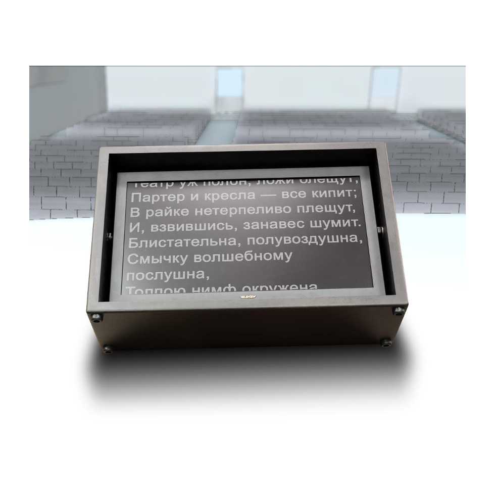 TLW-STAGE24 Prompter сценический телесуфлер Teleview