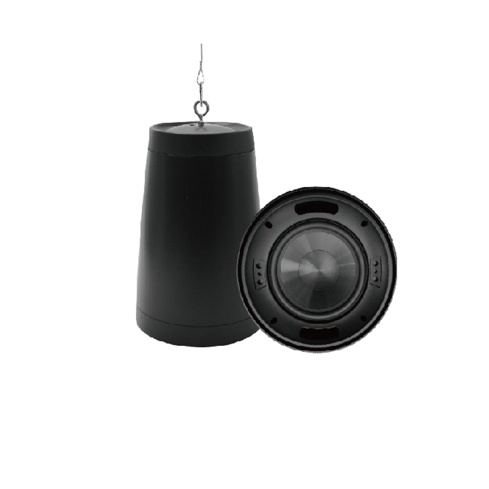 DSP8050SUB 8" подвесной сабвуфер DSPPA