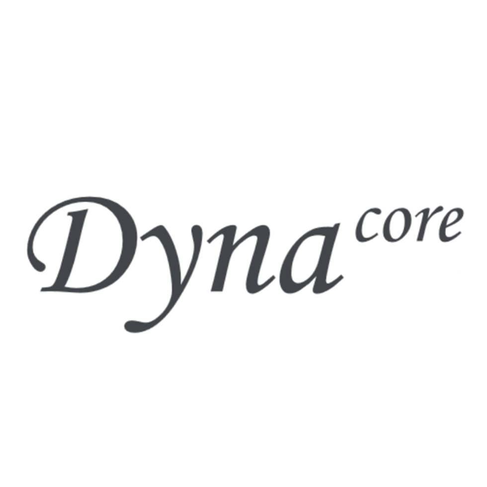 DV-FS зарядное устройство Dynacore