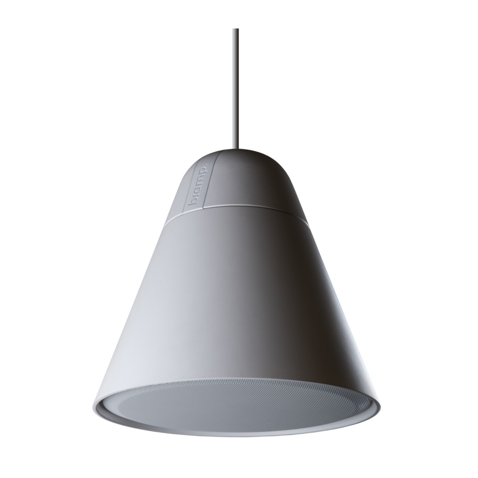 P30DT-W акустическая система Biamp