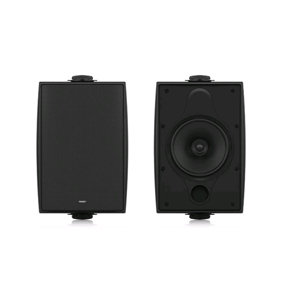 DVS 6T всепогодная АС Tannoy