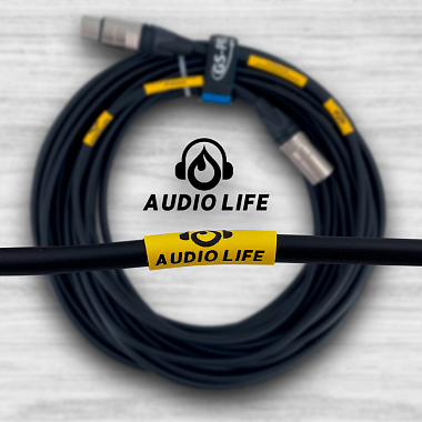 AUDIO LIFE